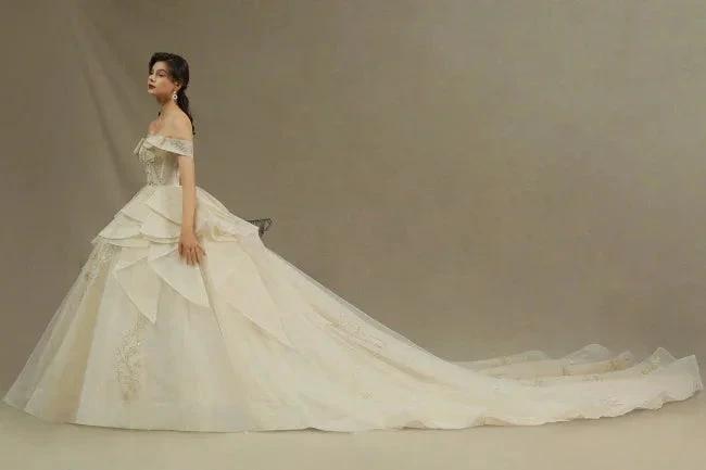 Elegant wedding dresses princess | Wedding dresses with lace (ZD13781)
