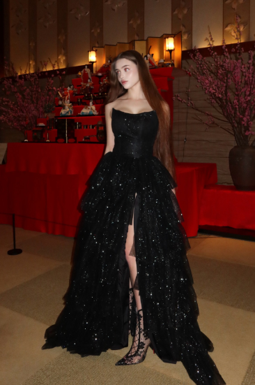 Multi-layer Shiny Elegant Dresses,Luxury Party Dress,Black Prom Dress - View 5 | FashionDia