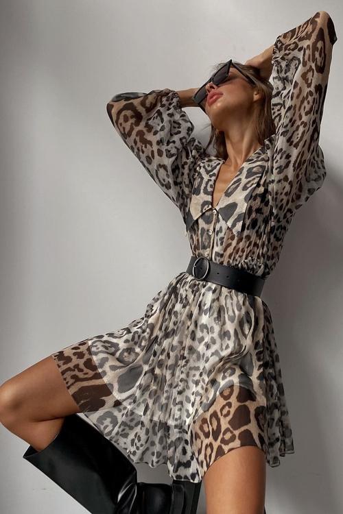 Gail Printed V - neck Belted Chiffon Mini Dress