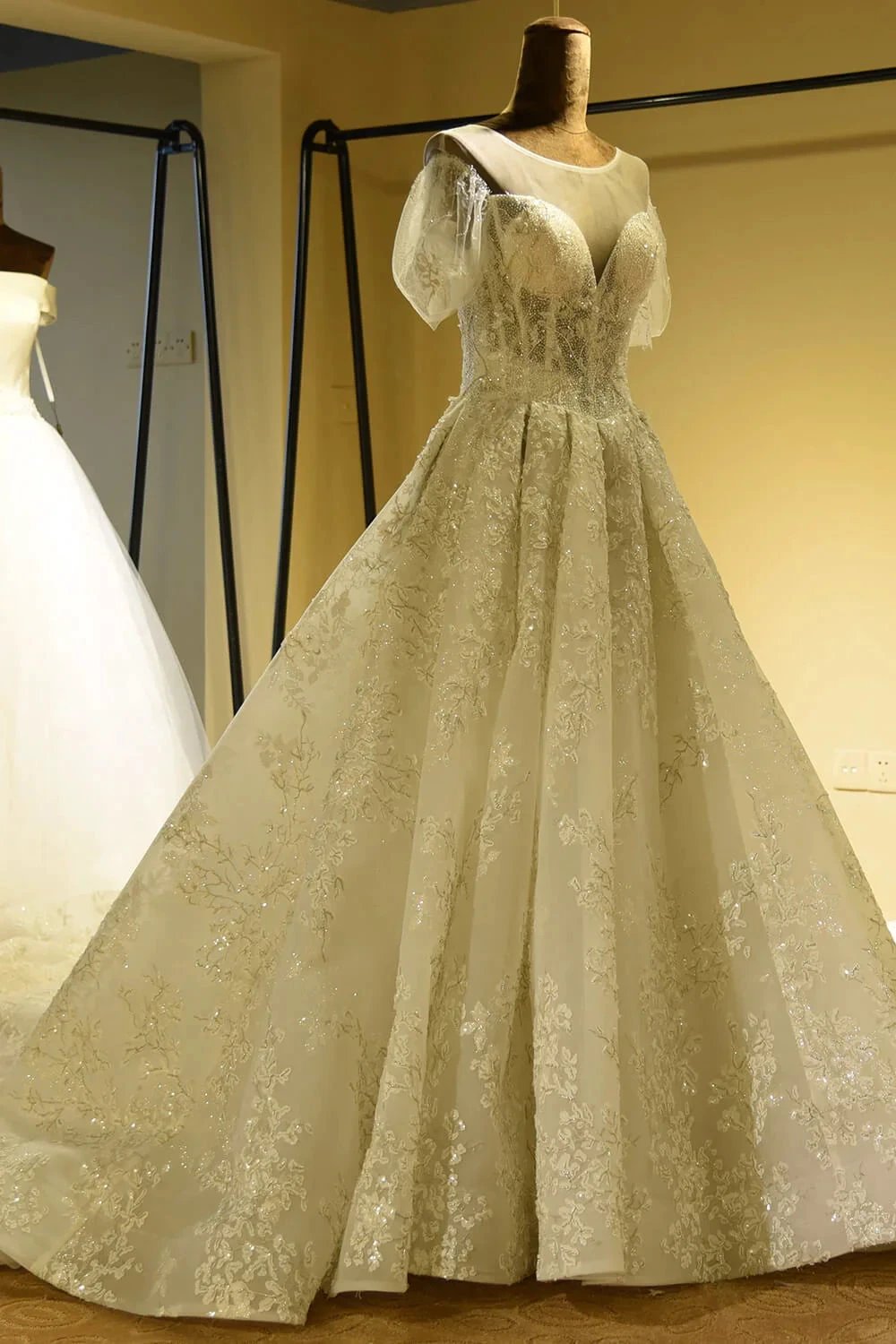Gorgeous Short Sleeve Lace Tulle Princess Ivory Wedding Dress (ZD13899)
