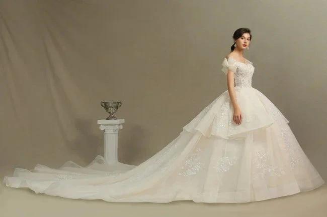 Gorgeous wedding dresses princess (ZD14769)