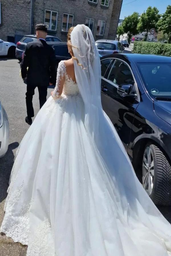 Gorgeous White Long A-line V-neck Lace Wedding Dress with Sleeves (ZD14360)