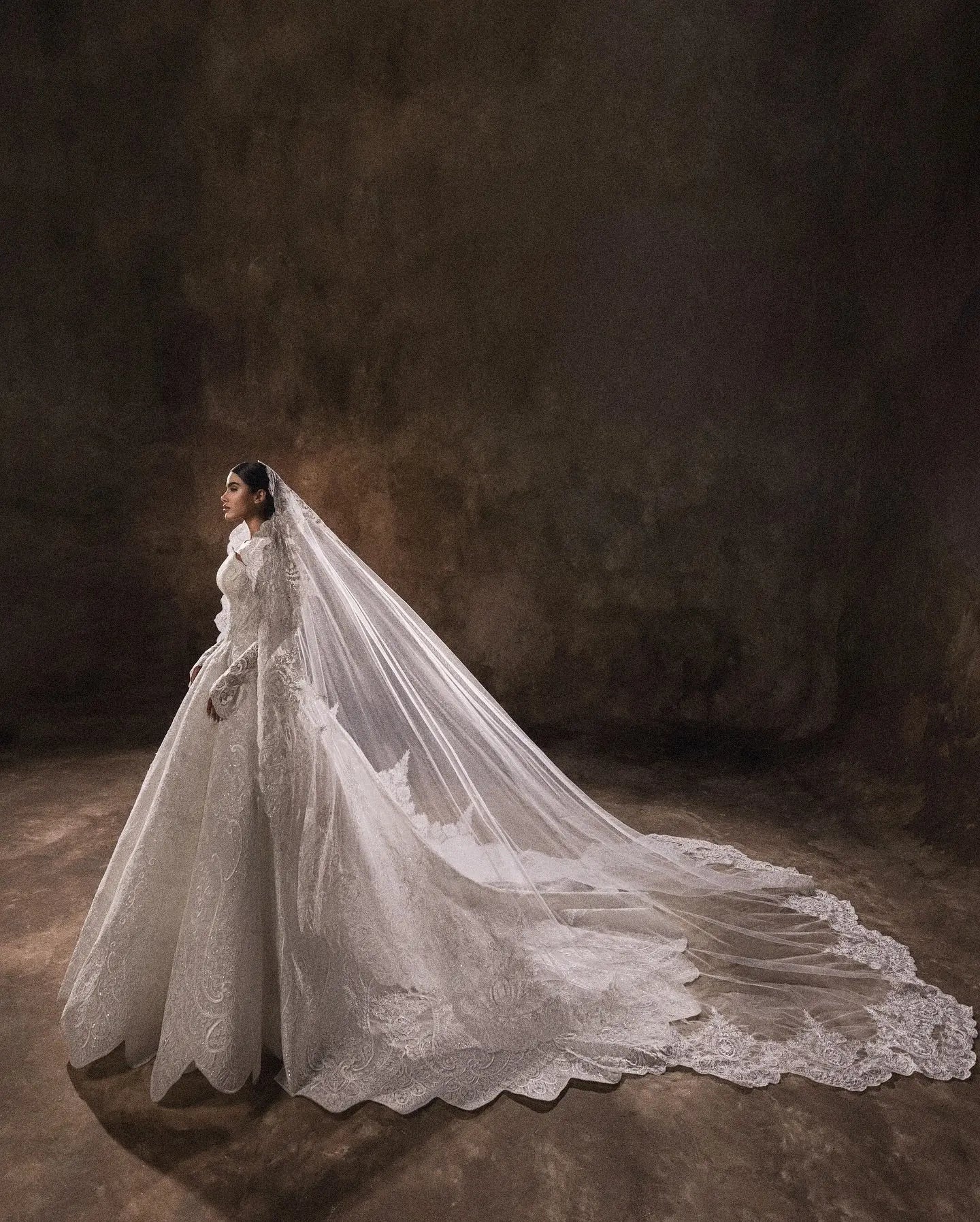 Luxury White Lace Long Sleeve Fitted Train Wedding Dress with Veil ZP155