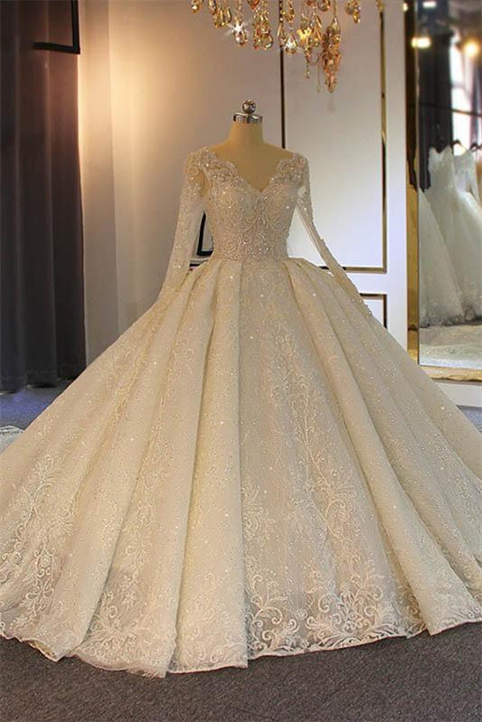 Long Sleeves Delicate Lace Wedding Dress Ball Gown (ZD17503)