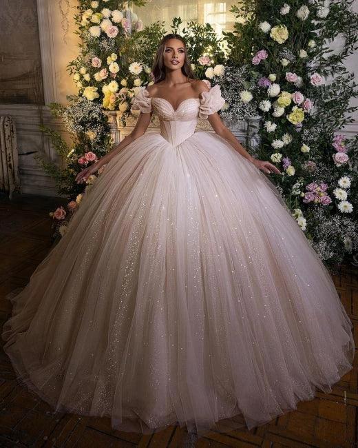 Princess Luxury Wedding Dresses Glitter with Lace (ZD16435) - View 3 | VelvetHem