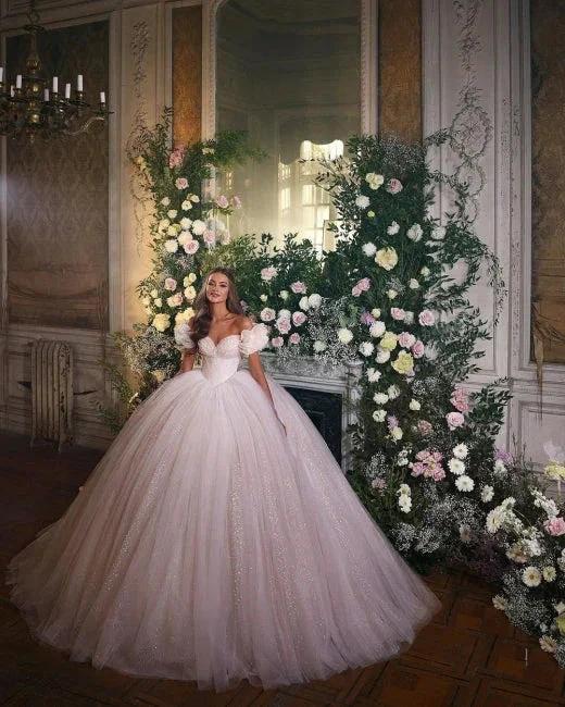 Princess Luxury Wedding Dresses Glitter with Lace (ZD16435)