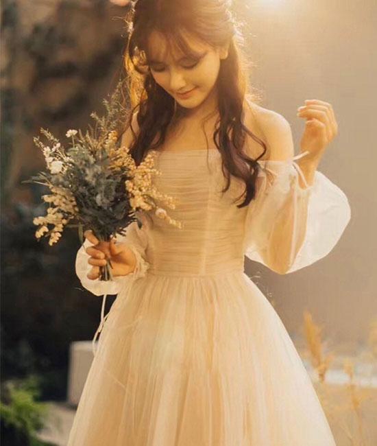 Champagne tulle long prom dress, champagne tulle evening dress - View 2 | FashionDia