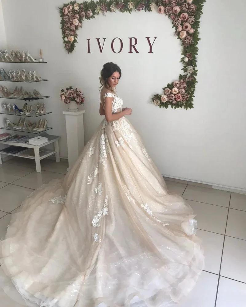 V-Neck Off-the-Shoulder Princess Princess Wedding Dress (ZD13828)