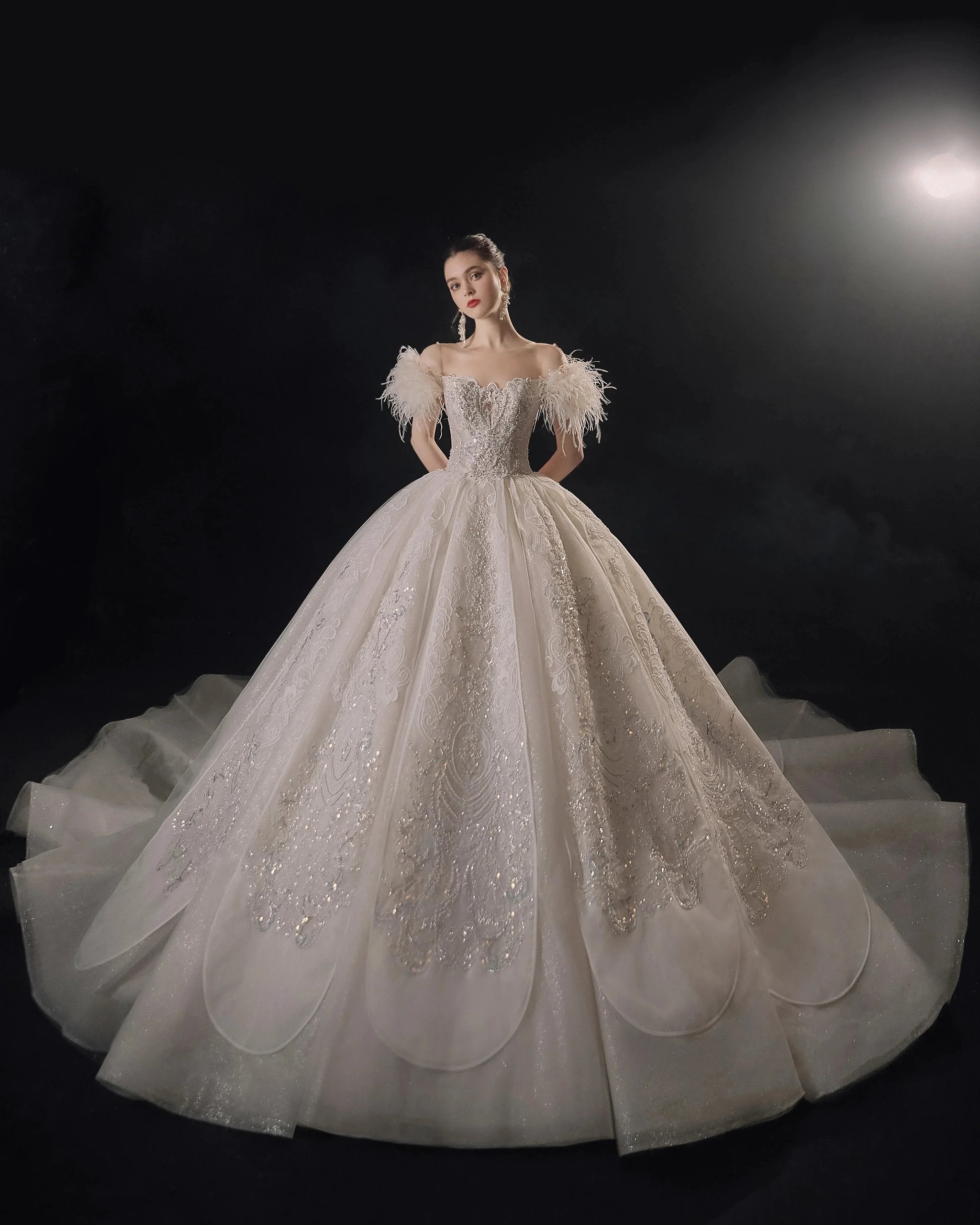 Luxurious Off-the-Shoulder Ball Gown Sweetheart Neckline Feather Trim Beaded Lace Wedding Dress with Glitter Train E-306 (ZD16884)