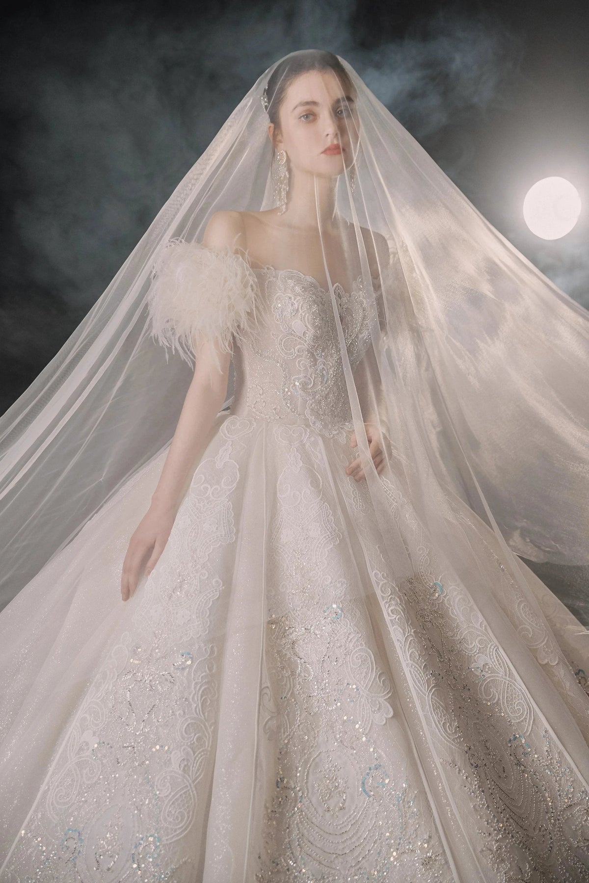 Luxurious Off-the-Shoulder Ball Gown Sweetheart Neckline Feather Trim Beaded Lace Wedding Dress with Glitter Train E-306 (ZD16884)