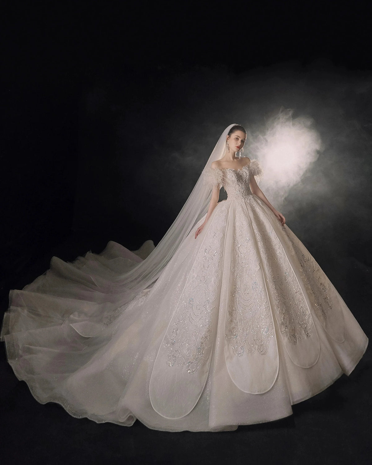 Luxurious Off-the-Shoulder Ball Gown Sweetheart Neckline Feather Trim Beaded Lace Wedding Dress with Glitter Train E-306 (ZD16884) - View 8 | VelvetHem