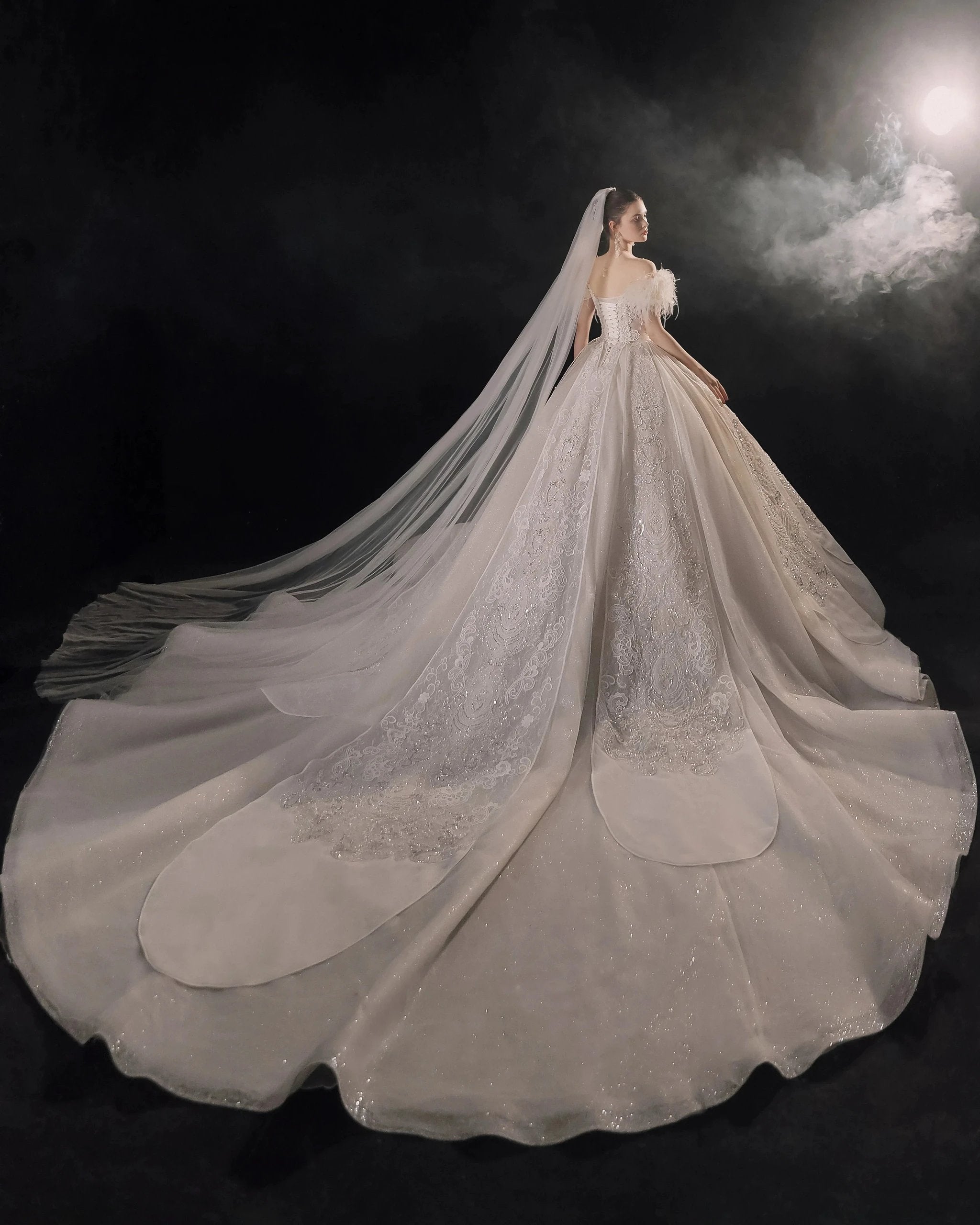 Luxurious Off-the-Shoulder Ball Gown Sweetheart Neckline Feather Trim Beaded Lace Wedding Dress with Glitter Train E-306 (ZD16884)