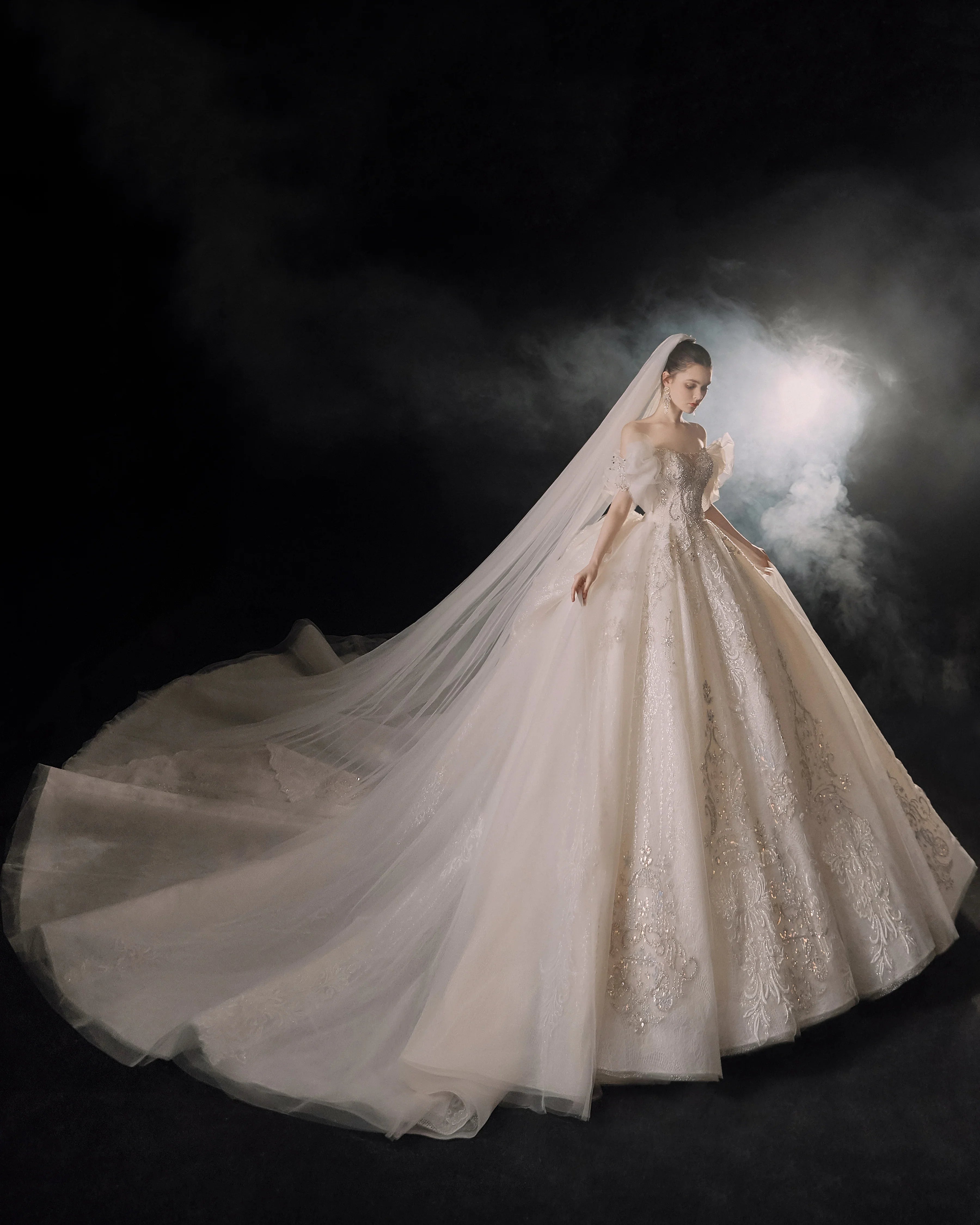 Elegant Off-the-Shoulder Ball Gown Sweetheart Neckline Tulle Puff Sleeve Beaded Lace Wedding Dress with Scalloped Train E-306 (ZD16885)