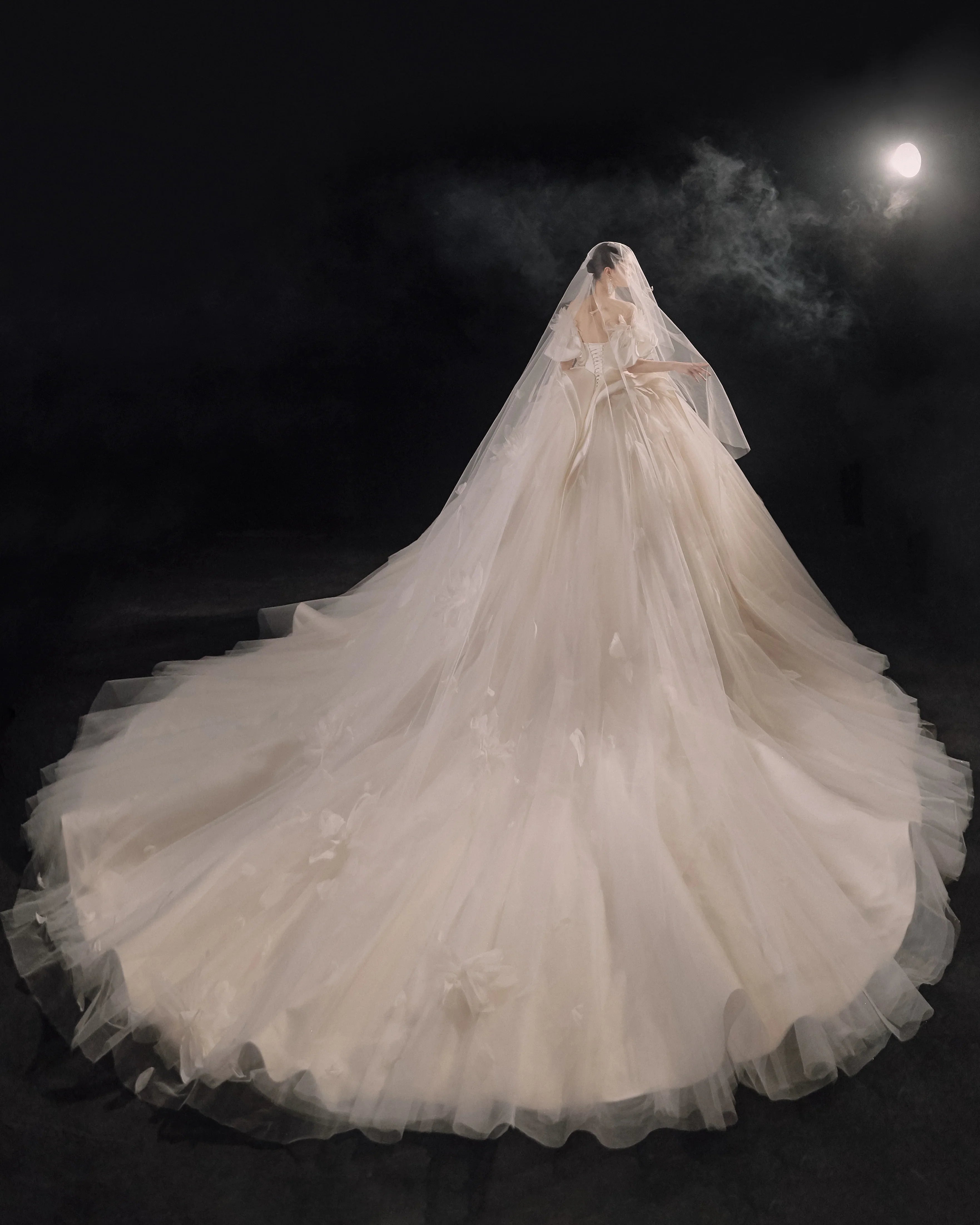 Lavish Sweetheart Ball Gown Satin Puff Sleeve Feather Trim Beaded Wedding Dress with Flowing Train E-302 (ZD16889)