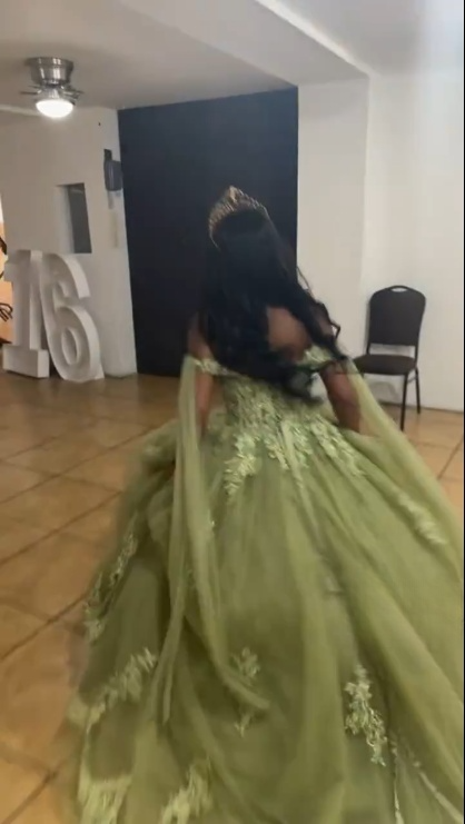 A Line Green Tulle Lace Princess Dresses Off the Shoulder Party Ball Gowns         fg6204