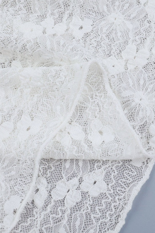 Sheer Lace Long Sleeve Birthday Dress