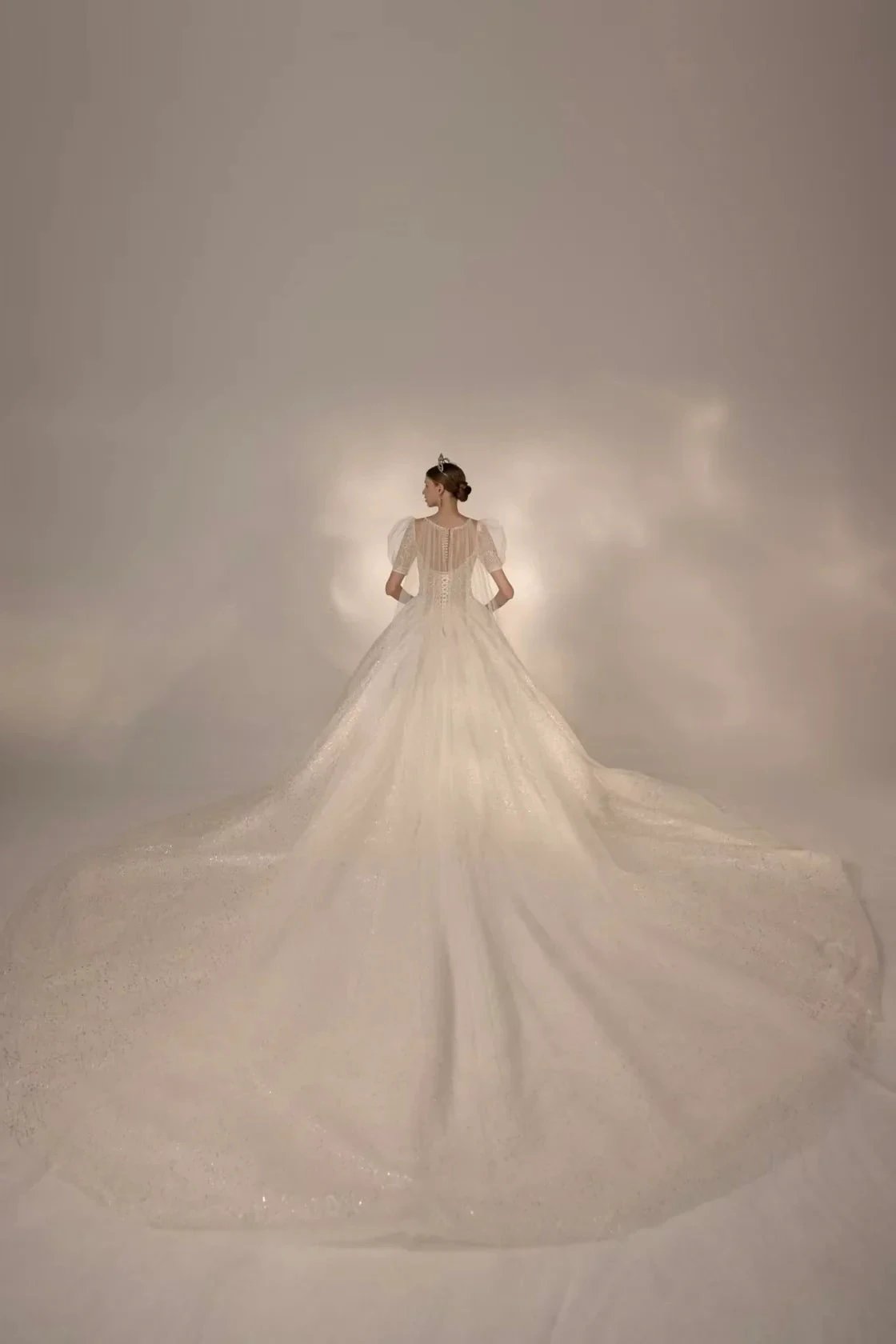 Sparkling Ball Gown Sweetheart Neck Tulle Wedding Dress with Beaded Embroidery & Sheer Puff Sleeves (ZD16917)