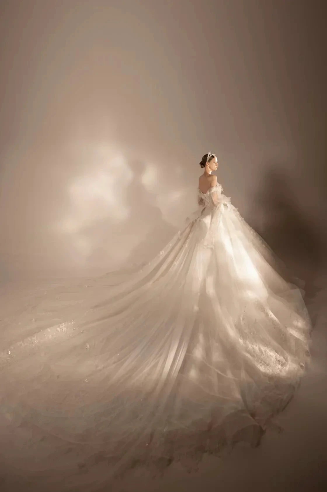 Gorgeous Long Ball Gown Off-the-Shoulder Tulle Wedding Dress with 3D Floral & Crystal Embroidery & Cathedral Train (ZD16910)