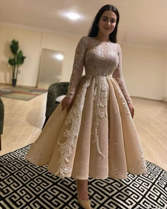 Charming A-line Long Sleeves Pleated Evening Dress