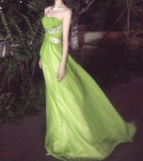 Elegant Prom Dress Strapless Pleated Long Evening Dress Gala Dress - FashionDia