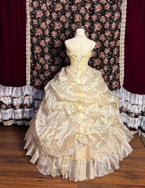 Yellow Sweet 15 Ball Gown Birthday Dress Long Evening Dress For Teens