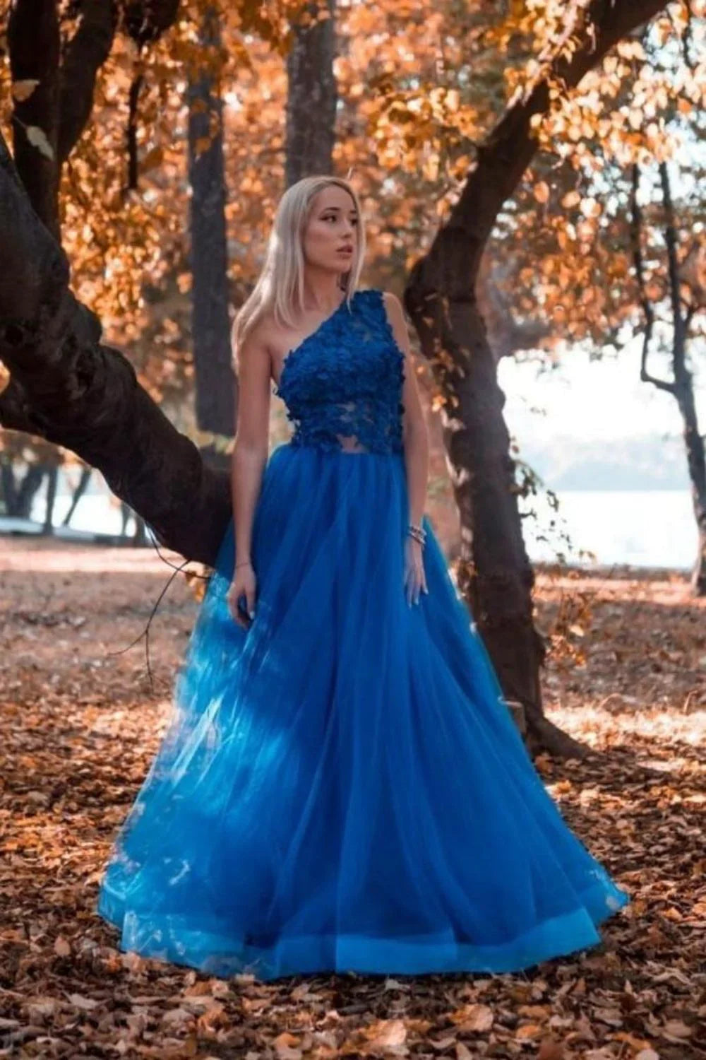 A Line One Shoulder Royal Blue Long Prom Dress with Appliques