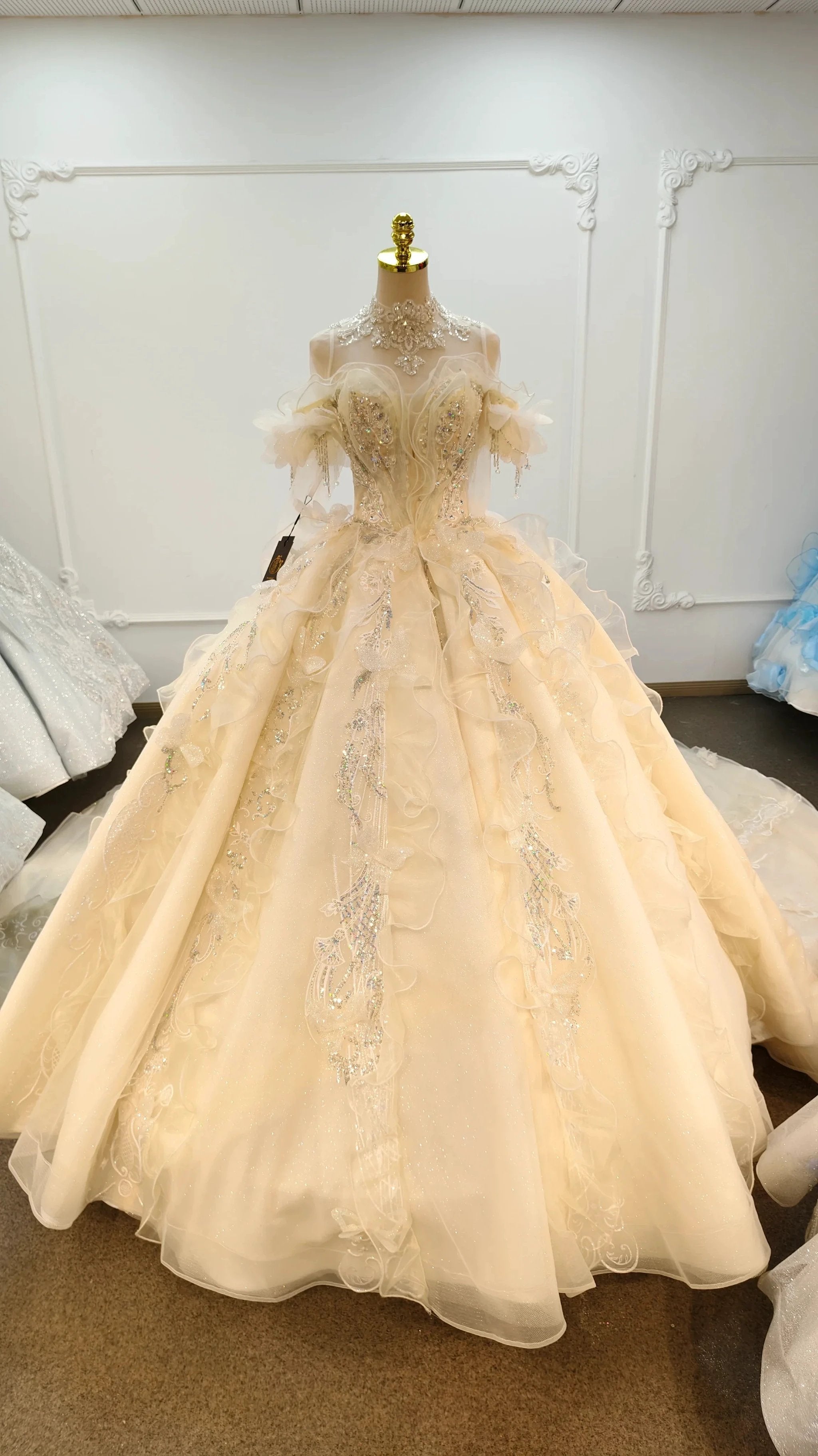 Cream Shimmer Off-Shoulder Ballgown Crystal-Embroidered Skirt & Fringed Collar by ZAPDRESS