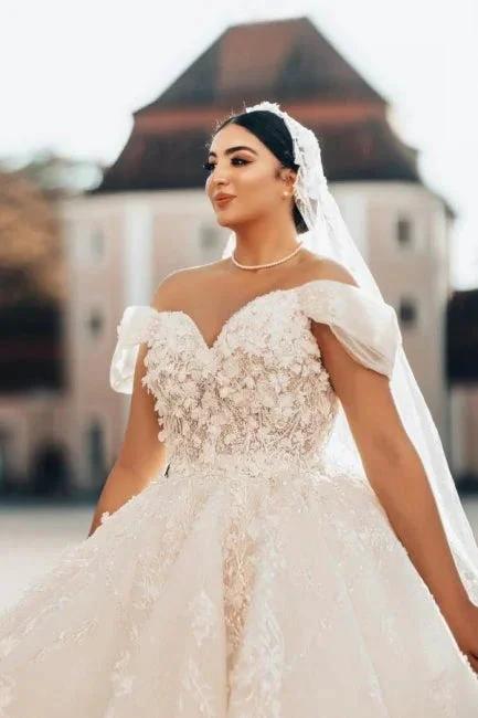 Beautiful Long A-Line Off-the-shoulder Sleeveless Wedding Dresses with Lace (ZD15634)