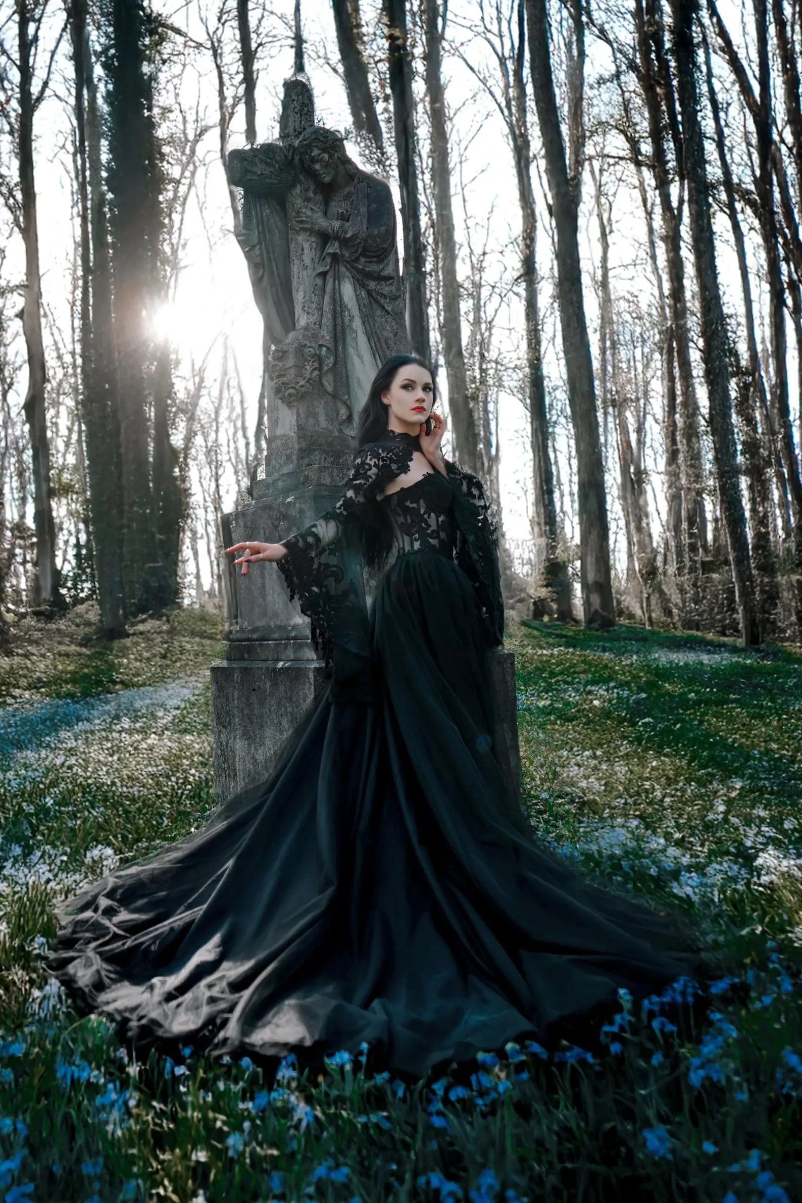 Black Luxury Gothic  Wedding Dress Sheer Lace Ball Gown  ZP029
