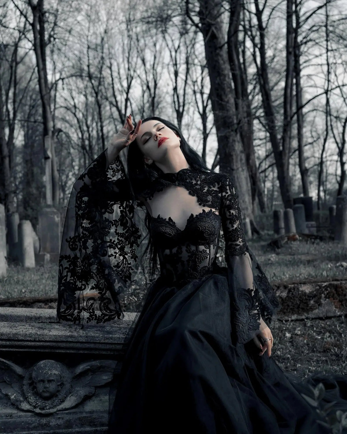 Black Luxury Gothic  Wedding Dress Sheer Lace Ball Gown  ZP029
