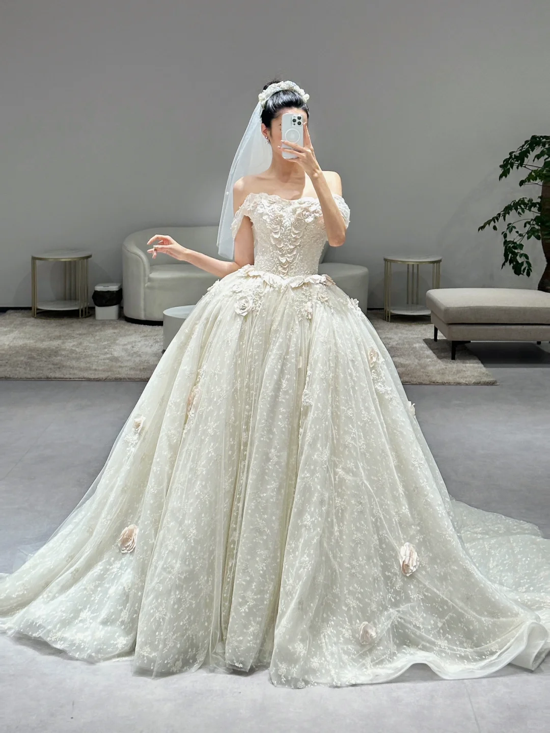 Dreamy Ball Gown Off The Shoulder Tulle Lace Applique With Veil Long Wedding Dresses