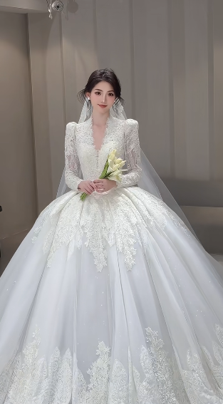 Timeless Ball Gown V Neck Tulle Lace Long Sleeves With Train Long Wedding Dresses
