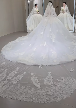 Timeless Ball Gown V-Neck Tulle Lace Long Sleeves With Train Long Wedding Dresses - View 3 | FashionDia