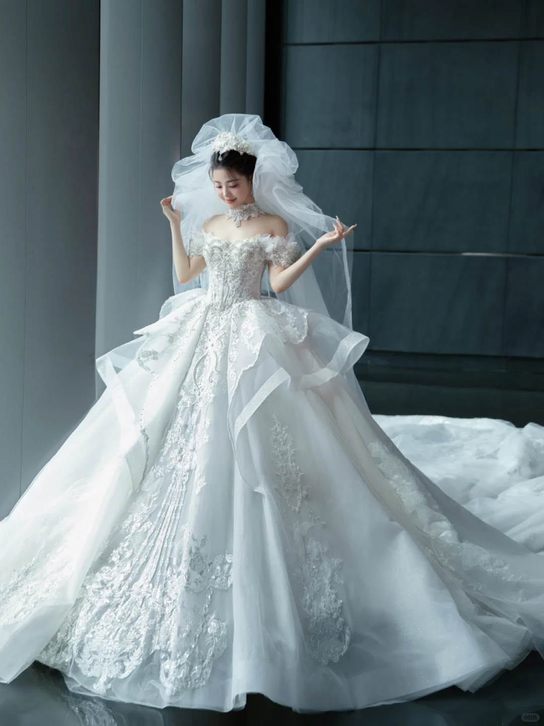 Dreamy Ball Gown Off The Shoulder White Tulle Lace With Veil Long Wedding Dresses