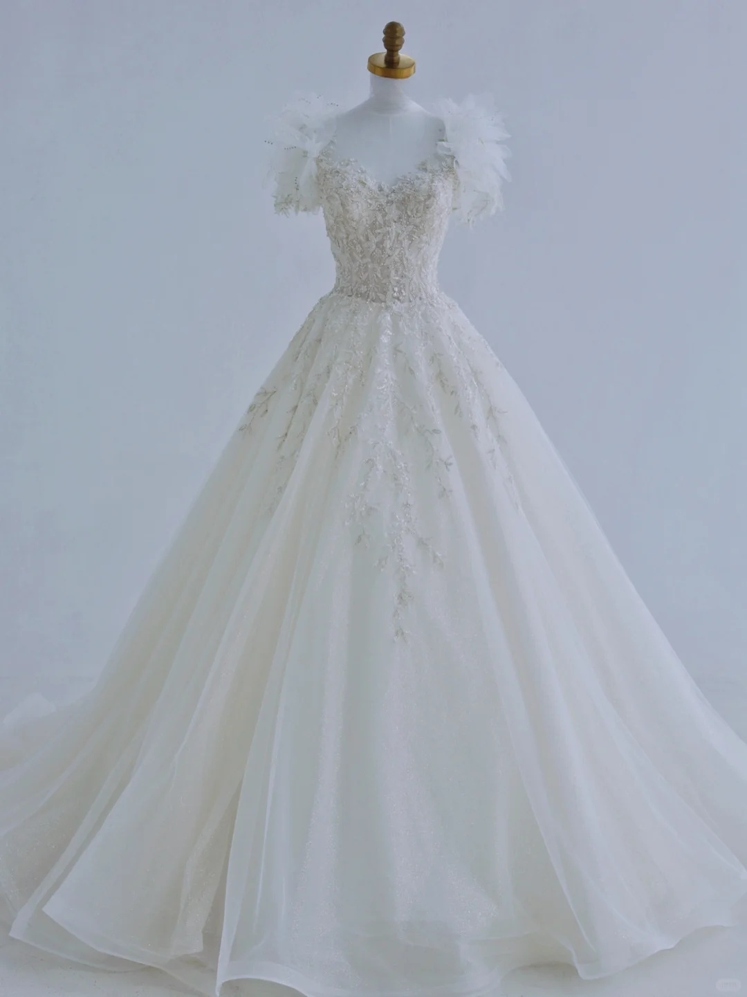 Unique A Line Tulle Sequin Beads Applique Short Sleeves Long Wedding Dresses