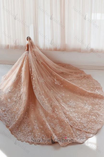 Champagne Wedding Dress Strapless Sleeveless Beaded Ball Gown Monarch Train Bridal Gown With Appliques And Rhinestones
