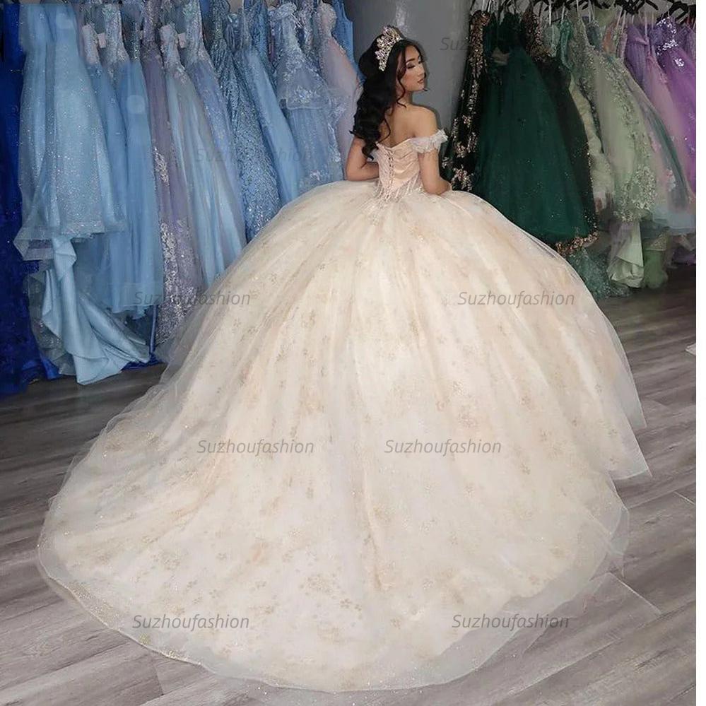 Gorgeous & Glamorous Ball Gown Off Shoulder Applique Flower Beaded Tulle Princess Birthday Party Gown Quinceanera Dress For Sweet 16