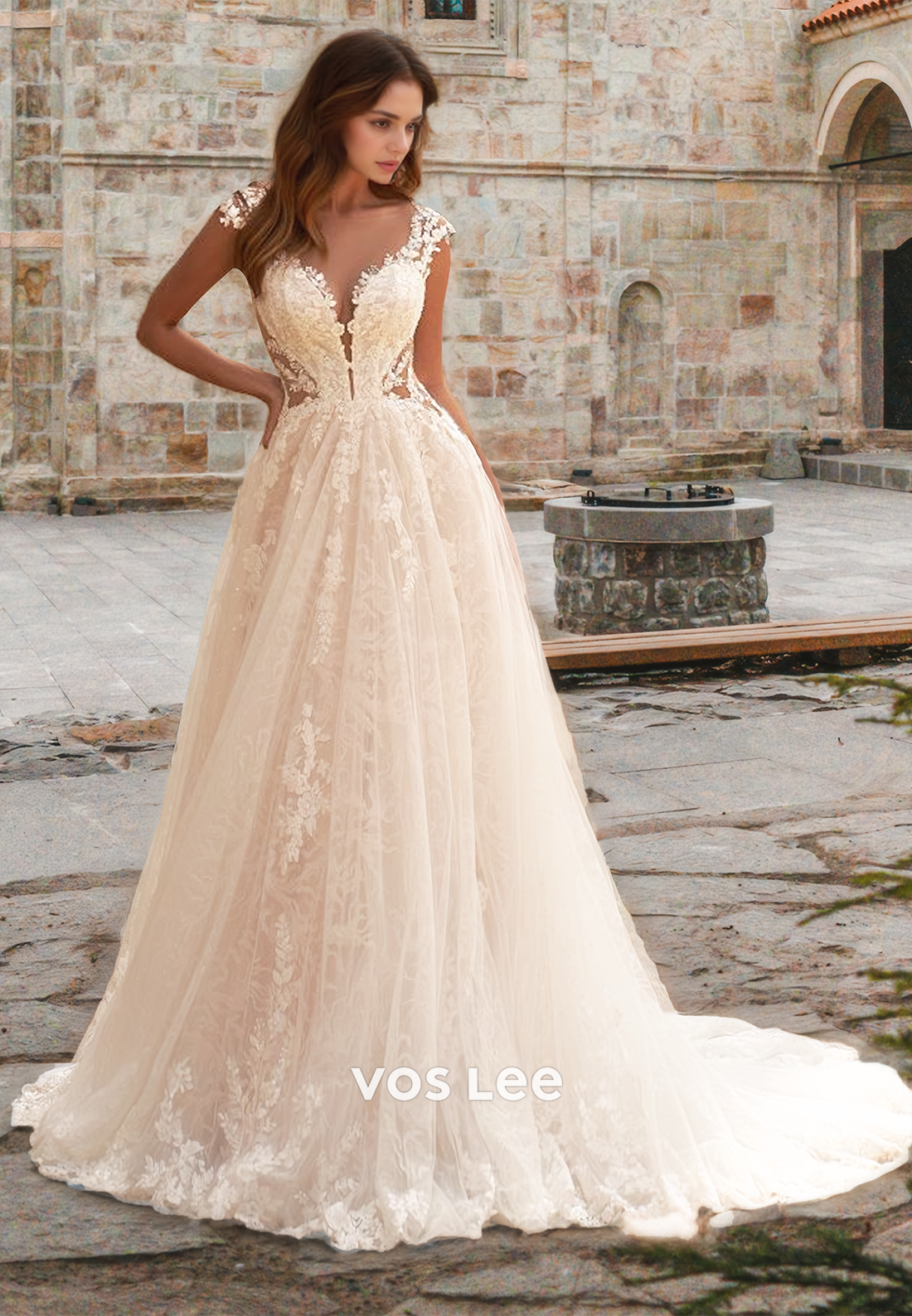 Ornate A-Line Plunging V Neck lIIusion Cap Sleeves Lace Tulle Wedding Gown