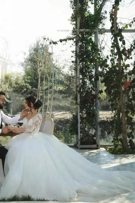 Half sleeves lace V-neck A-line Princess Wedding Dress (ZD15698)