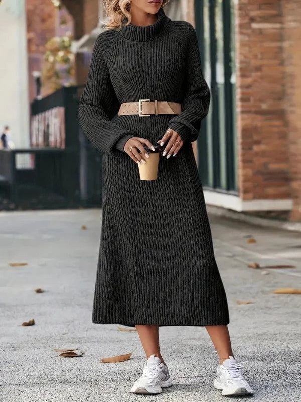 Petronia Knitted Sweater Dress for Women Refined Casual Wear