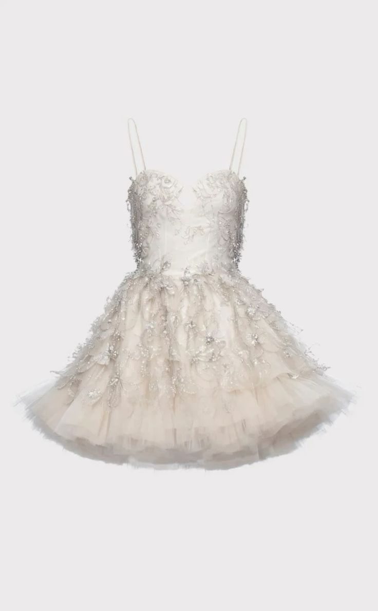 Dreamy Light Beige Spaghetti Strap Embroidered Fluffy Mesh Birthday Party Homecoming Dress
