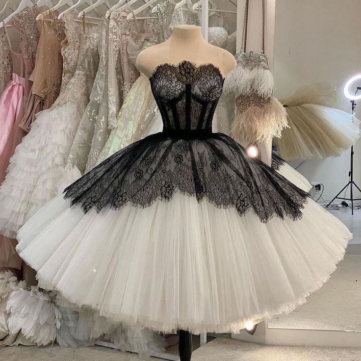 Vintage Black And White Lace Fluffy Tulle Birthday Party Homecoming Dress