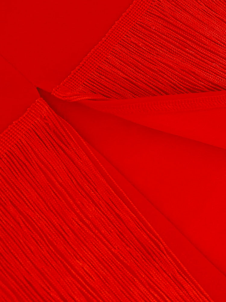 Red Tassel Dresses VNeck Fringe Cocktail Event Party Outfits