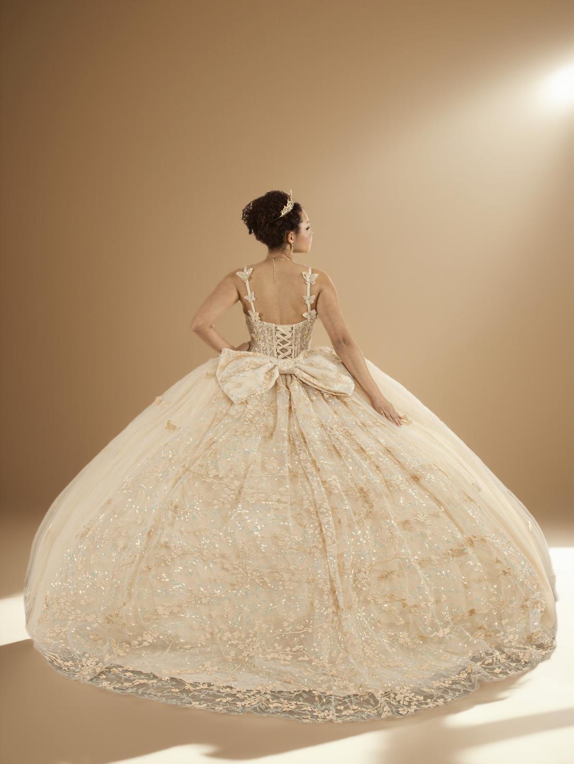 Champagne Sleeveless Quinceanera Dress Butterfly Straps Lace Applique Glitter Ball Gown (ZD17599) - View 2 | VelvetHem