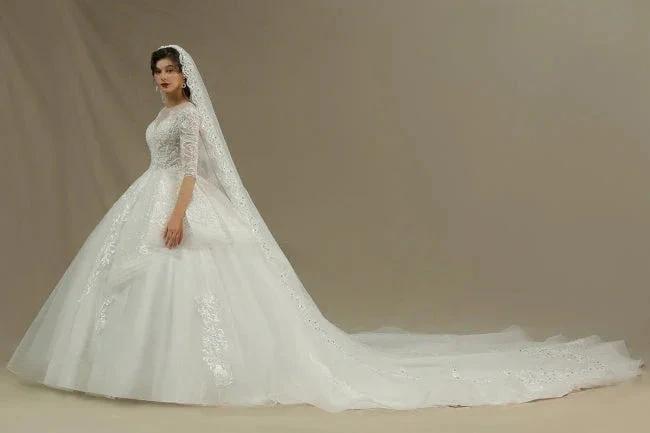 A-line Wedding dress | Wedding dresses with sleeves (ZD13786)