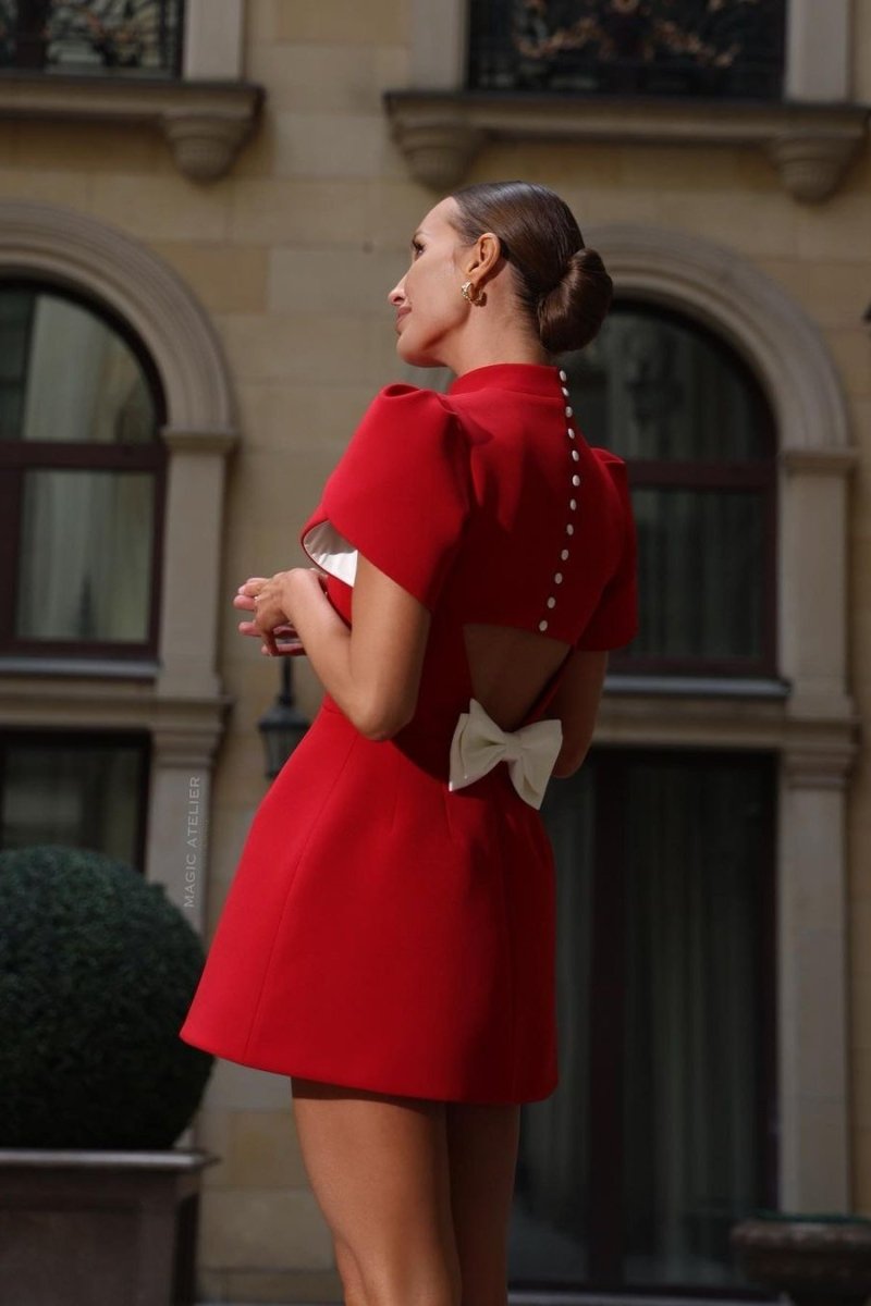 Emilia Mini Dress With Bow