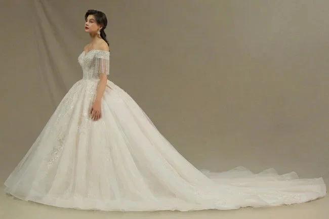 Elegant A-line wedding dresses | Wedding dresses with sleeves (ZD13778)