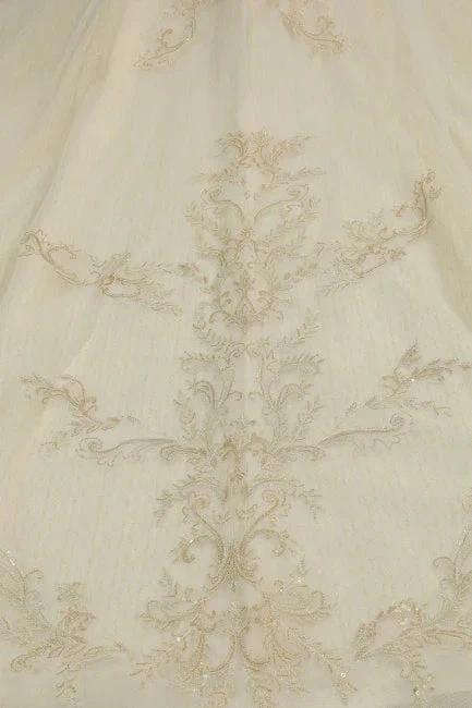 Elegant wedding dresses princess | Wedding dresses with lace (ZD13781)
