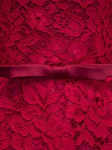 Glamorous Lace Mother Of The Bride Dress Burgundy High Collar Occasion Dress Long Sleeve A-Line Wedding Guest Dresses