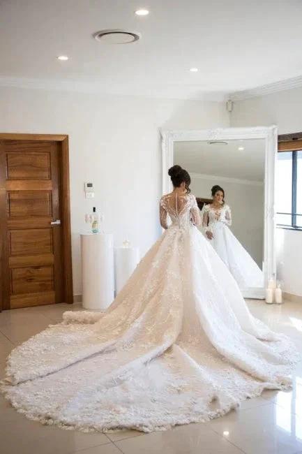 Gorgeous Long Sleeves Soft Floral Lace Bridal Gown V-Neck Wedding Dress (ZD14761)